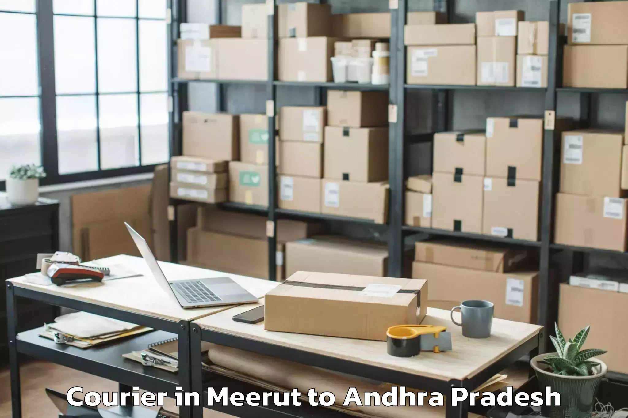 Professional Meerut to Savalyapuram Kanamarlapudi Courier